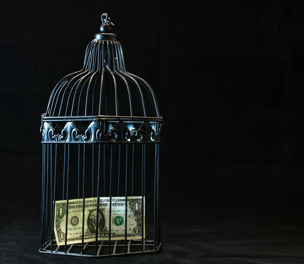 geld in kooi